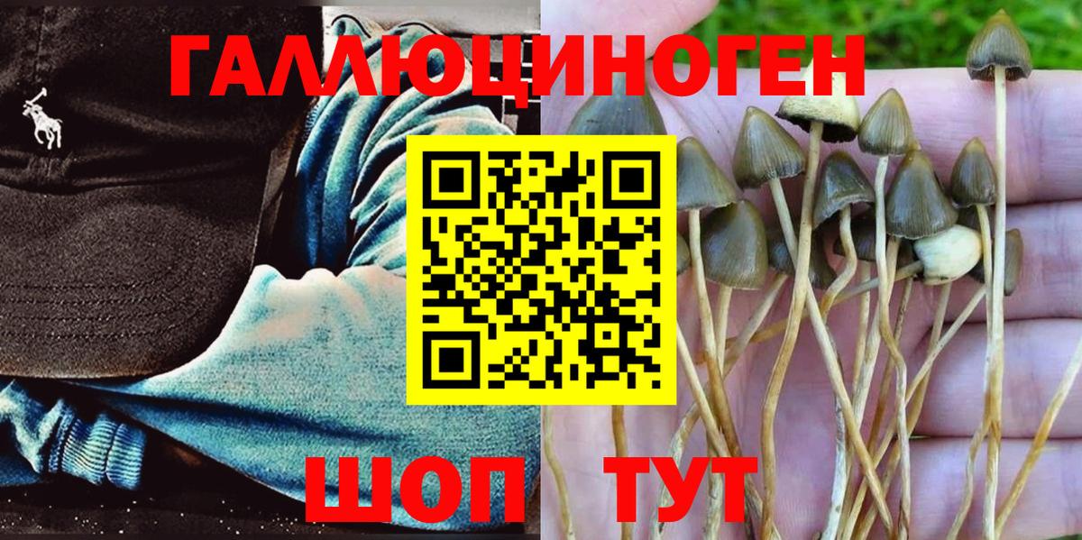 Псилоцибиновые грибы Psilocybine cubensis  Галлюциногенные грибы Cubensis  Вход с VPN  Асбест 