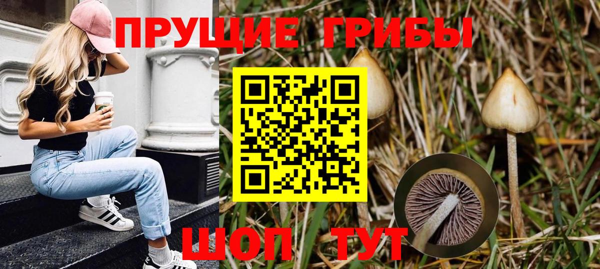Галлюциногенные грибы прущие грибы Асбест